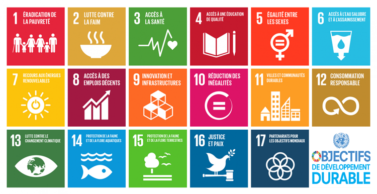 17 ODD : lesquels suit Espace Propreté ? 1 Les 17 ODD de la semaine du Développement Durable